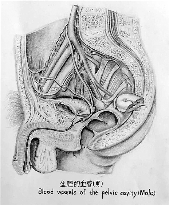 医科大学女大学生的课堂笔记 线条清晰堪比艺术绘本