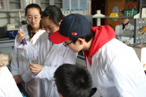 学习共同体在进行课题研究