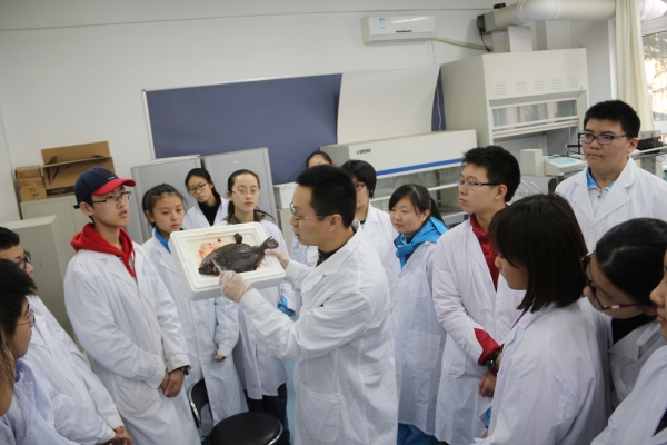 高中同学带领初中同学进行课题研究_20170708222101
