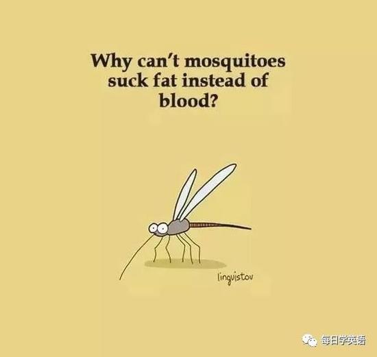 10. Why can’t mosquitoes suck fat instead of blood?