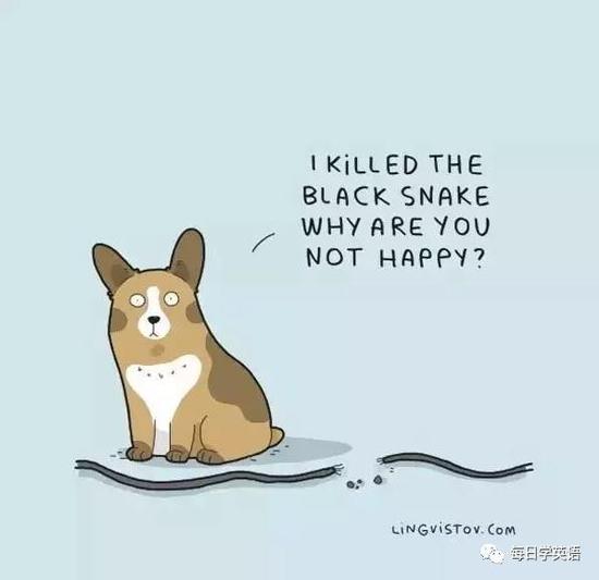 7. I killed the black snake. Why are you not happy?
