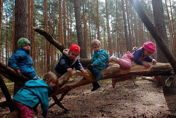 德国森林幼儿园：孩子们爬树、玩泥巴、模拟修路