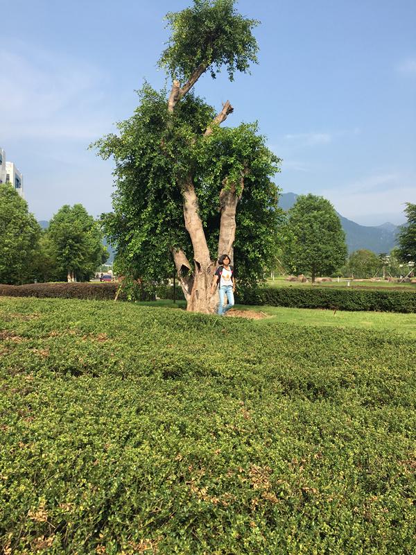 这个宿舍厉害了！温大现最牛考研宿舍