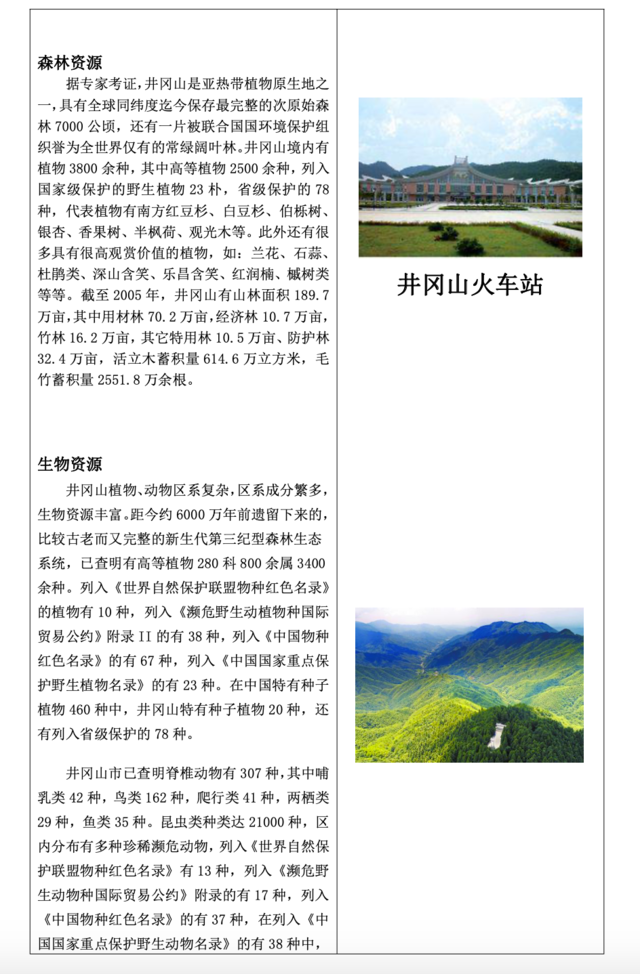 德育活动优秀作品云研学 谱写青春华章 怀梦乘风远航