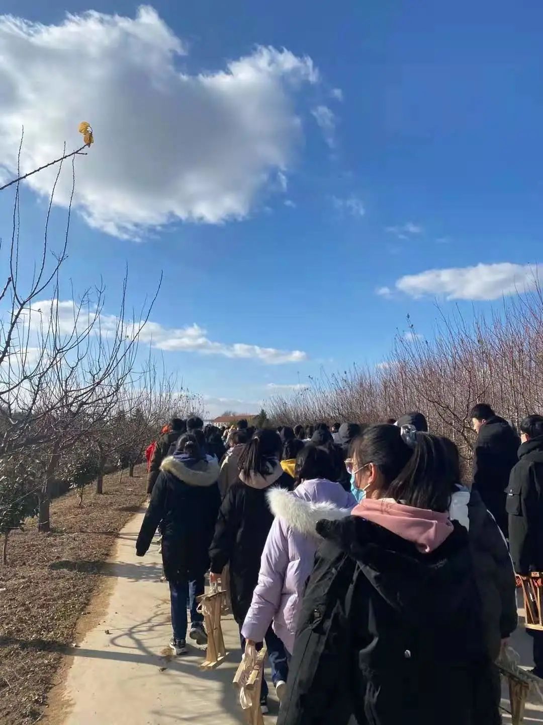 学农修身行，共享“田”滋味——青岛66中2020年学农活动顺利开展