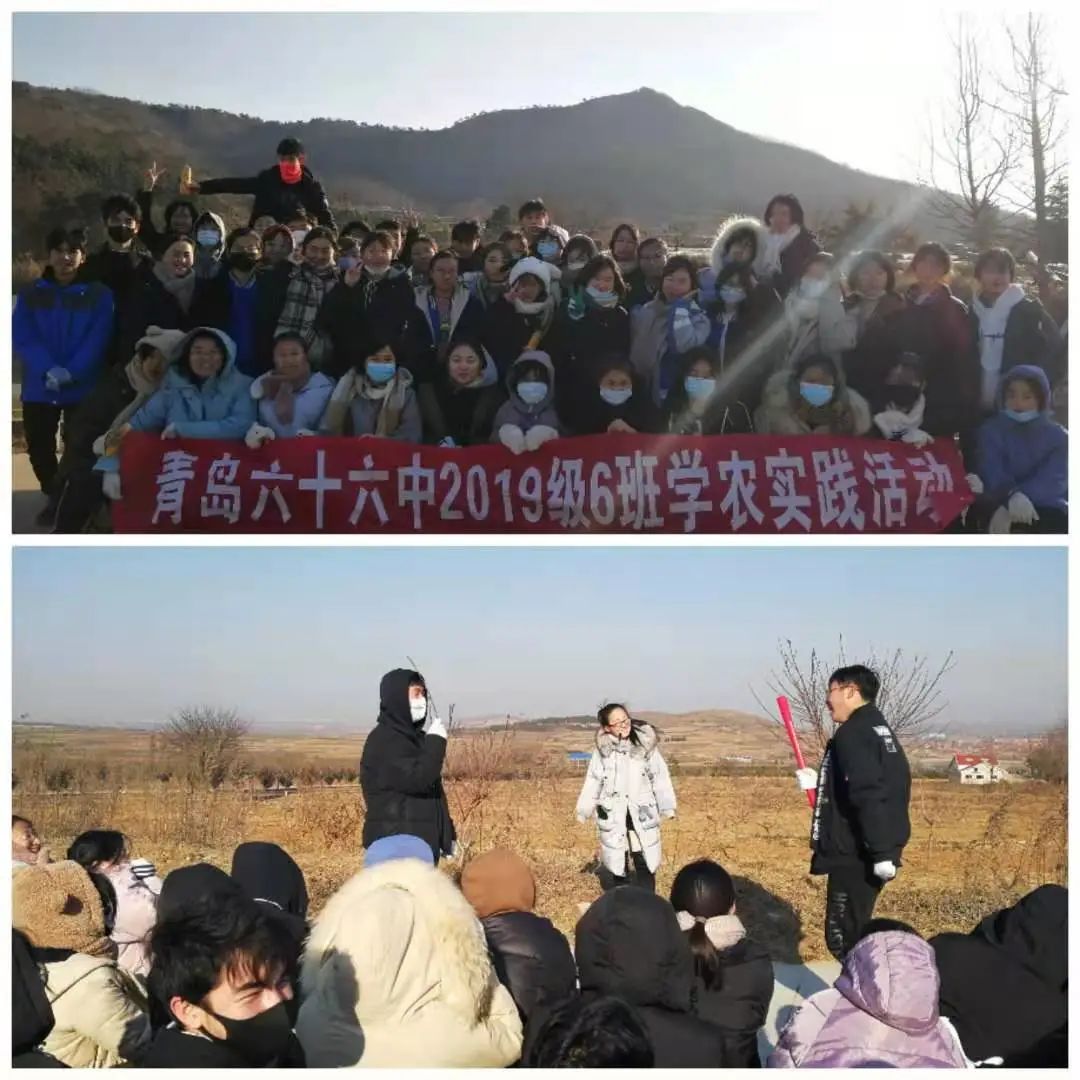 学农修身行，共享“田”滋味——青岛66中2020年学农活动顺利开展