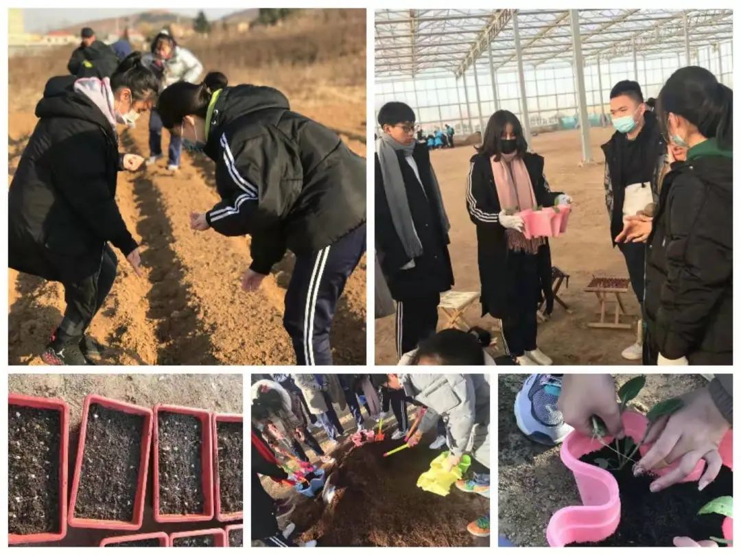 学农修身行，共享“田”滋味——青岛66中2020年学农活动顺利开展