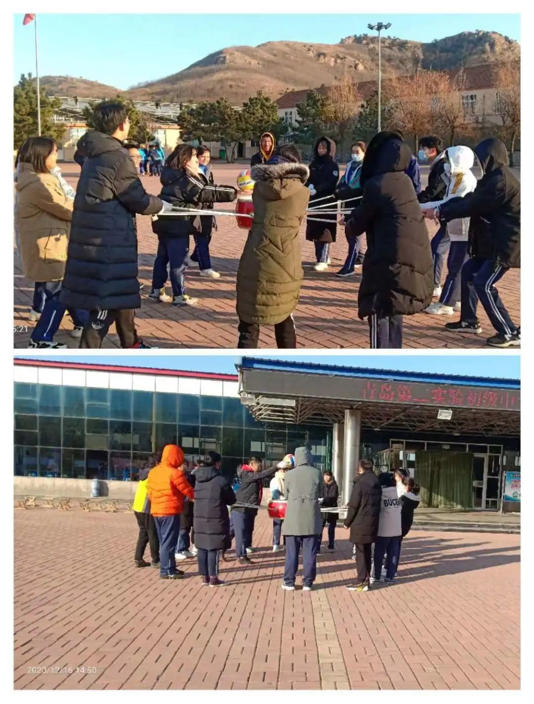 在劳动中收获成长——青岛六十六中高二年级学农实践活动圆满结束