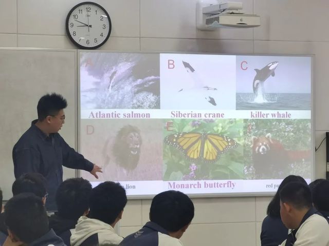 全力交付，未来可期——青岛六十六中外语组范宗祥青年教师汇报课