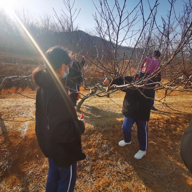 二月春耕昌杏密，百花次第争先出——青岛第六十六中学高一年级学农实践活动