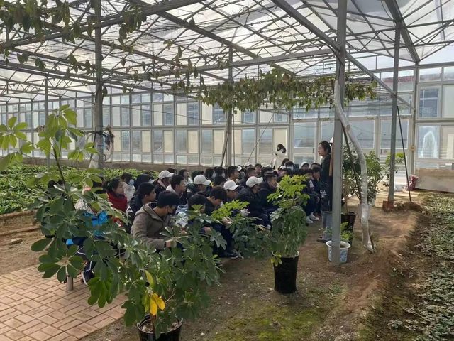 二月春耕昌杏密，百花次第争先出——青岛第六十六中学高一年级学农实践活动