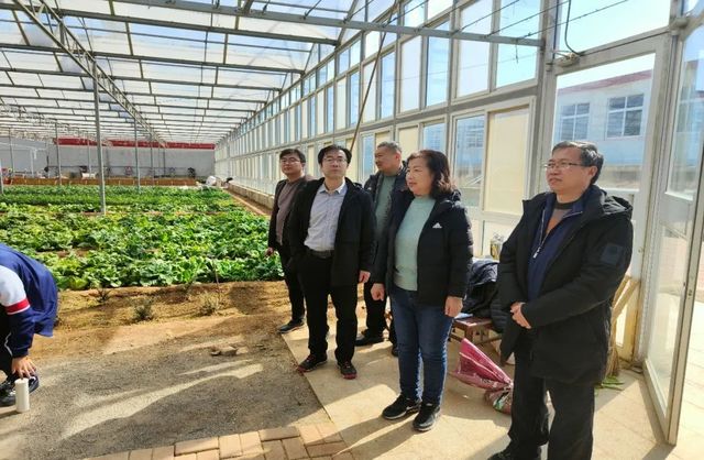 田间课堂助成长，领导慰问暖人心——青岛六十六中校领导看望慰问学农师生