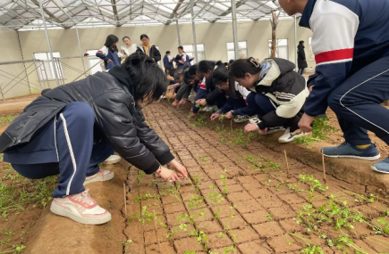 既耕亦已种，时还读我书——青岛六十六中2021级学农实践活动圆满结束